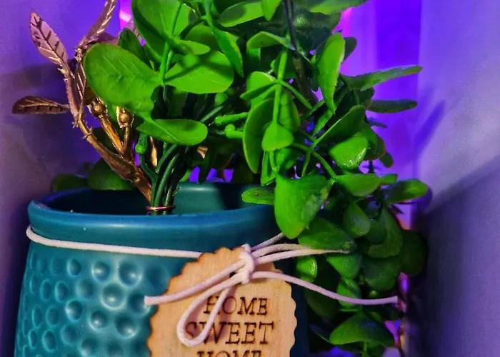 Afi Discret Jacuzzi Apartment