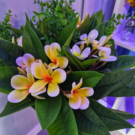 Afi Discret Jacuzzi Apartment