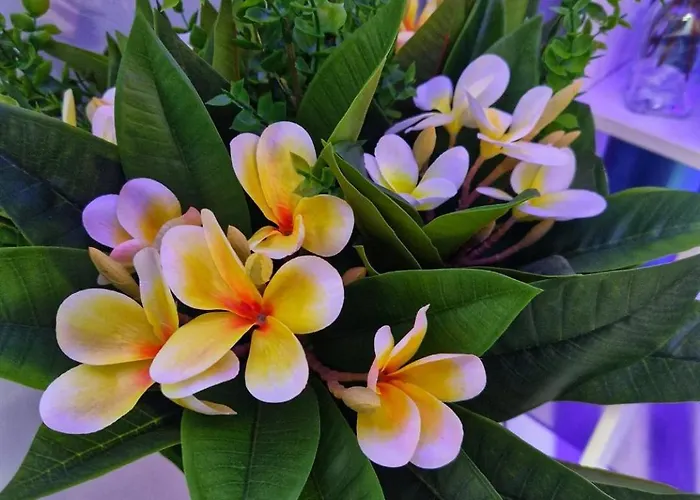 Afi Discret Jacuzzi アパート